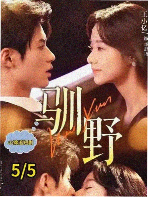 静默的河流电影海报
